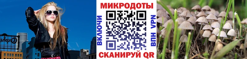 где найти наркотики  Ивантеевка  Псилоцибиновые грибы мухоморы 